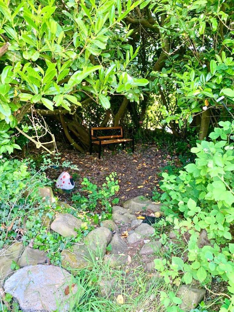 Quiet Farm Cottage Enniskillen Fermanagh Zewnętrze zdjęcie